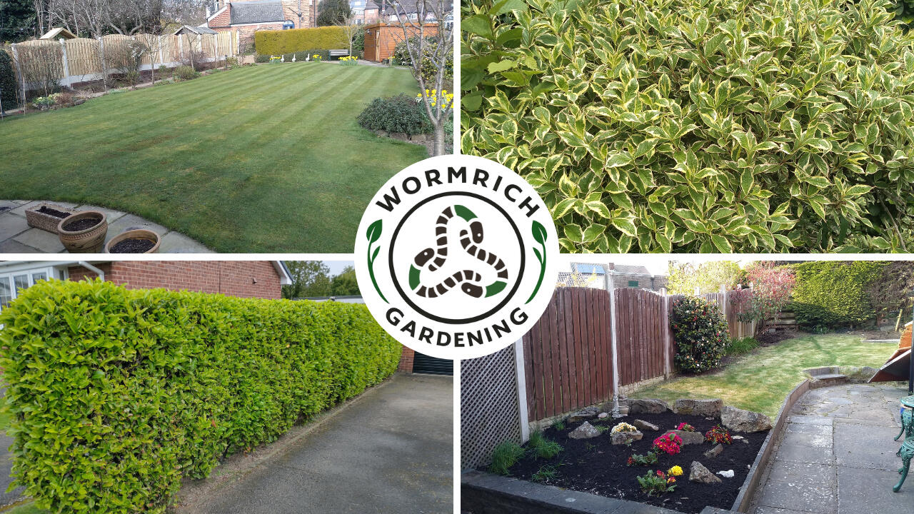 Lawn Care, Garden Bed, Hedge Cutting