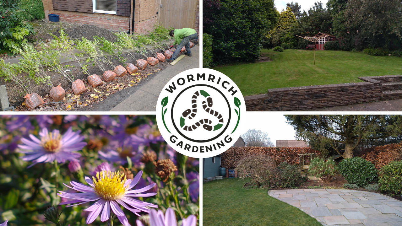 Hedge Planting, Garden Tidy, Garden Flowers