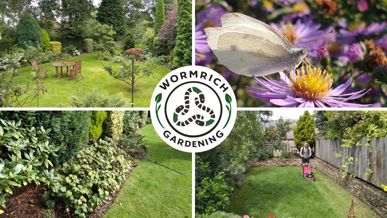 Garden Maintenance, Garden Boarders, Lawn Cutting