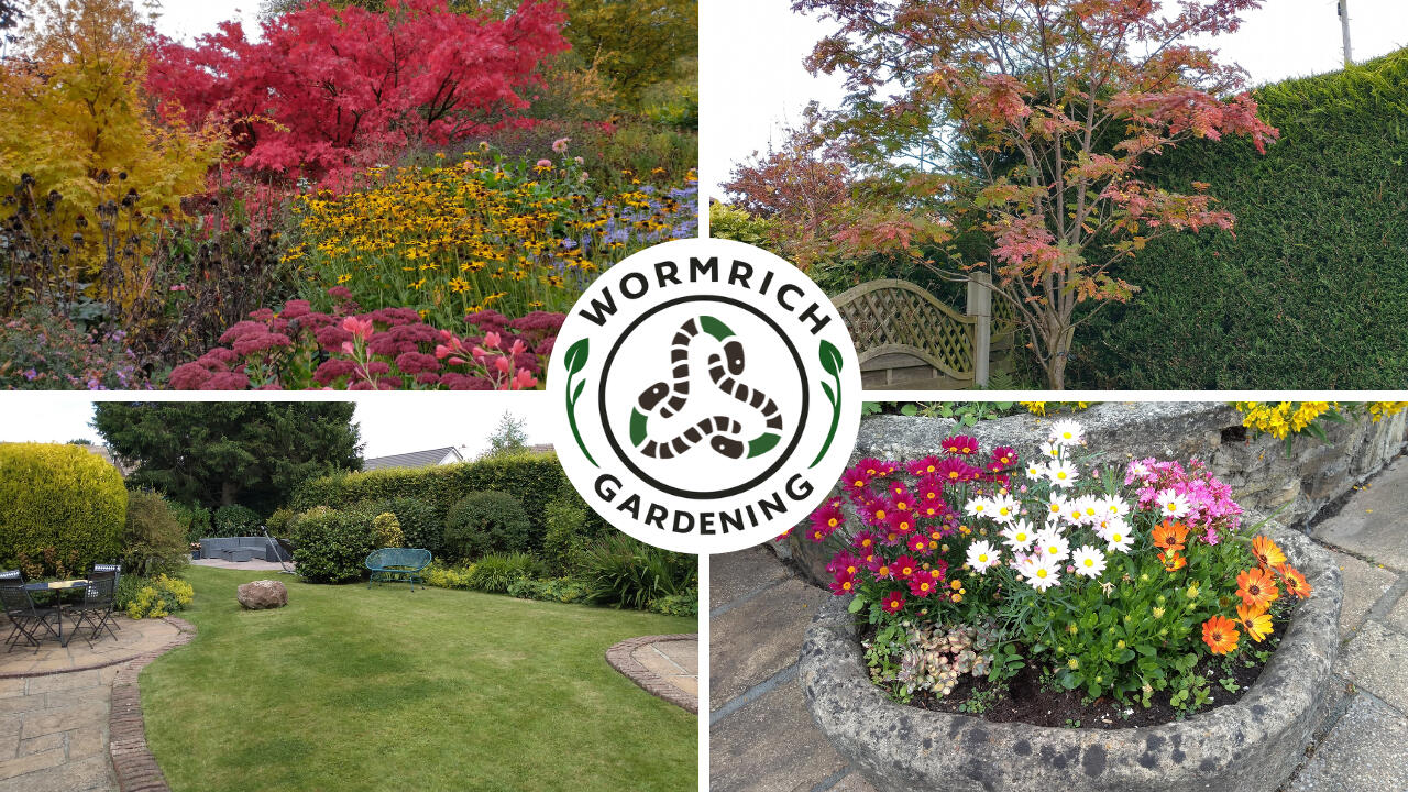 Garden Trees, Shrubs, Flowers