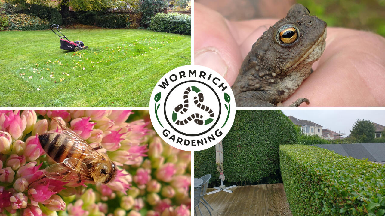 Garden Wildlife, Hedge Cutting, Lawn Care